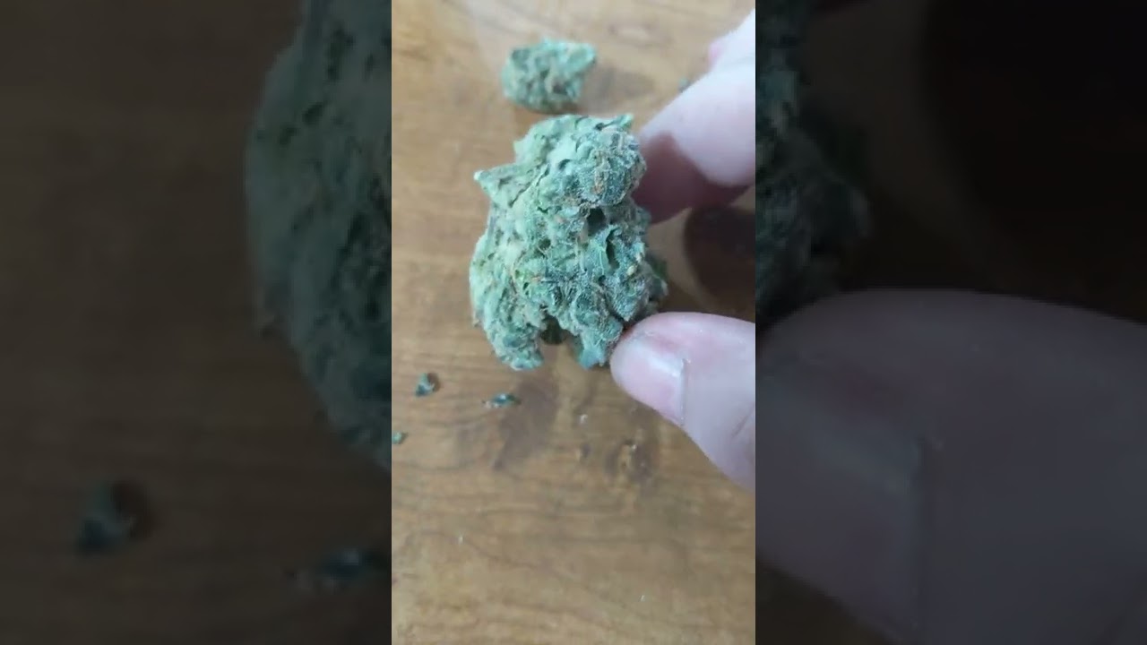 🍋 🔥👀🔥Lemon OG from TN Hemp Farmacy 🔥👀🔥🍋