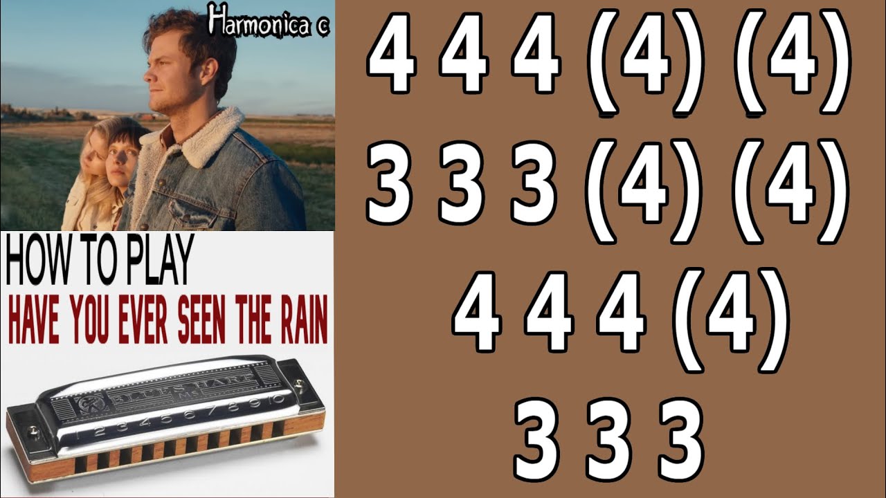 HAVE YOU EVER SEEN THE RAIN HARMONICA ( C DIATONIC ), ARMÓNICA C, BLUES HARP C, GAITA DE BOCA C