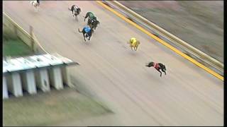 SHP THU 29 DEC 16 R12