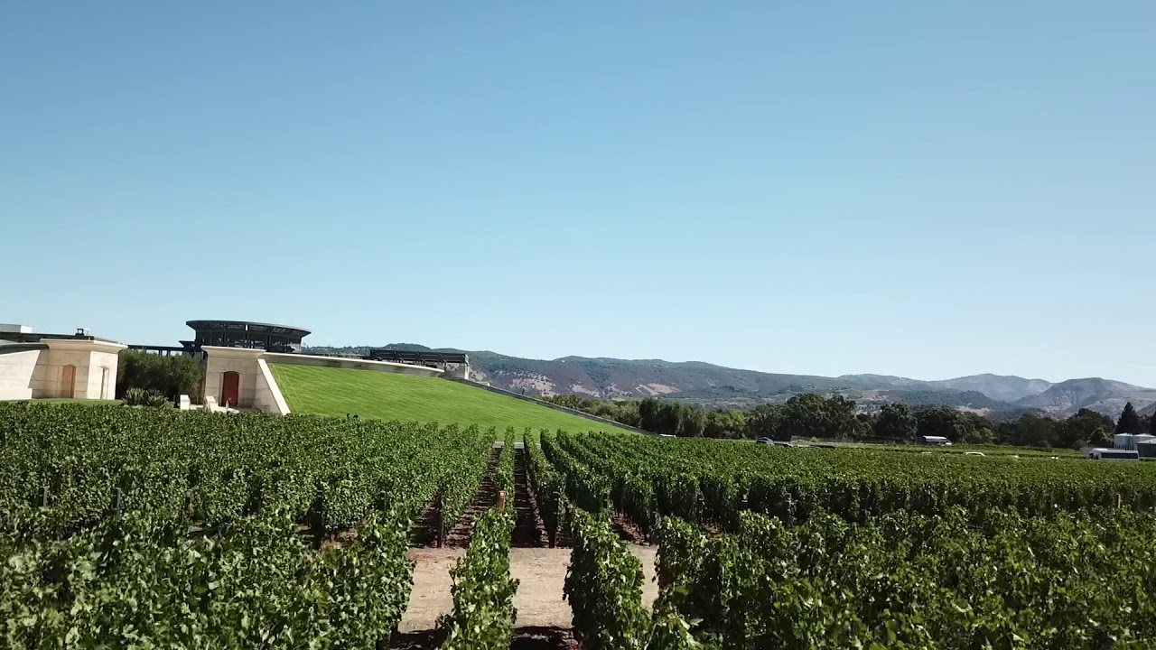 opus one napa valley red 2007 opus one napa valley red 2007