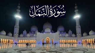 سورة النمل كاملة - ادريس ابكر رمضان 1441 - 2020