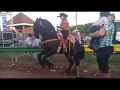Rancho Los MAGUEYES BAILANDO SU CABALLO"