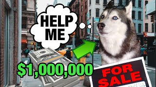 I Sold My Talking Dog For $1,000,000 Dollars!