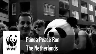 WWF Panda Peace Run