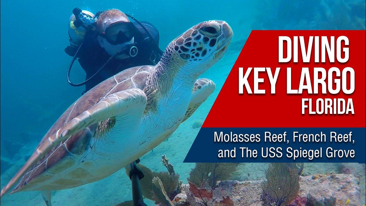 Scuba Diving in Key Largo, Florida Molasses Reef, French Reef, Benwood