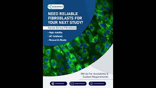 High-viability human fibroblasts validated &amp; ready to ship #science #research #biotech