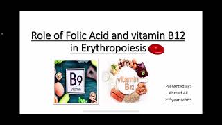 Maturation of RBCs and Role of Vitamin B12 and Folic Acid in Erythropoiesis | Guyton Chapter 33