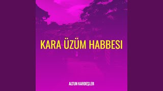 Kara Üzüm Habbesi