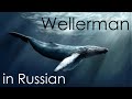 Wellerman (Sea Shanty) - cover in Russian | Веллерман - кавер на русском