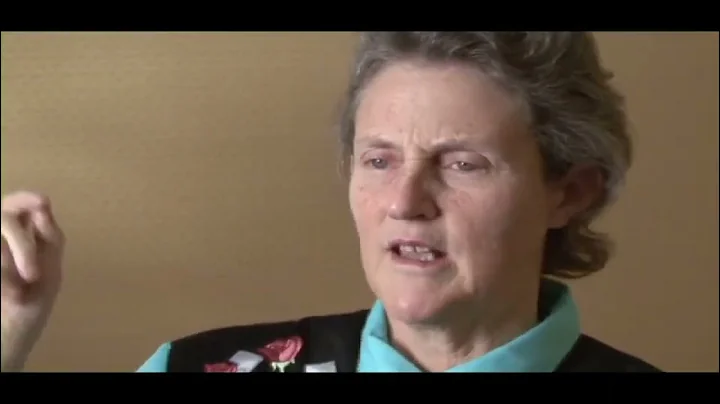 High Functioning Autism vs. Aspergers: Experts Sound Off