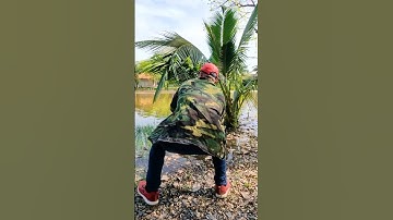 Câu Cá Tra Bằng Combo Rẻ Tiền Vẫn Ok AE