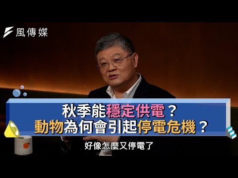 【下班經濟學精華集】秋季能穩定供電？動物為何會引起停電危機？