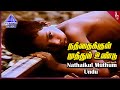 அம்பிகை நேரில் வந்தால் Movie Songs | Nathaikul Muthum Video Song | Mohan | Radha | Urvashi