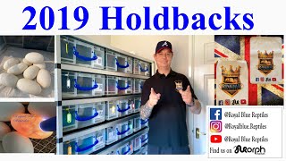 2019 Holdbacks