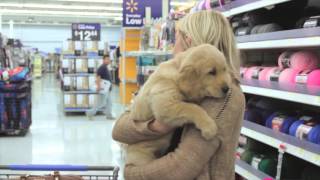 THE PUPPY PROJECT | Puppy Shopping on #NationalPetDay