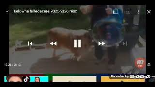 Kc1 Klub Pub Arculat Summer Logo