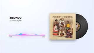 Jah Prayzah - Zibundu
