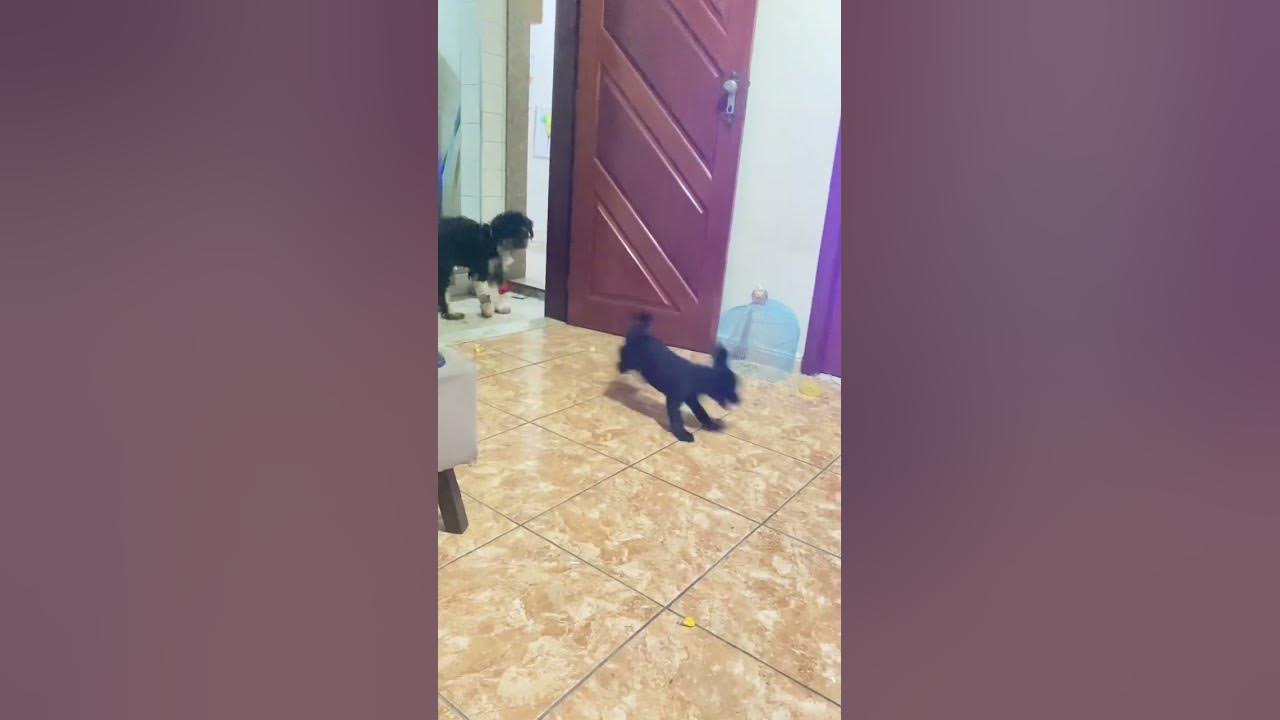 Você é muito lenta - YouTube