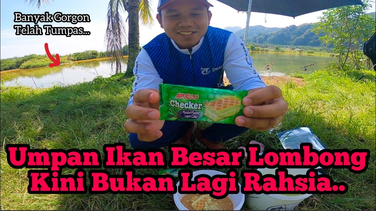 Umpan Ikan Rohu Dan Patin Liar || Umpan Ikan Lombong || #JomPancing93