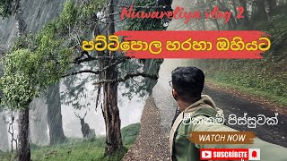 කොටියා හොයාගෙන පට්ටිපොළ සිට ඔහියට / pattipola hortonplains ohiya bike ride