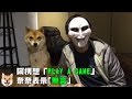 【柴犬Nana(奈奈)】阿楞戴面具想看奈奈的反應 卻得到意外的驚喜!