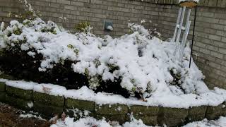 Do NOT Use Retractable Gutter Downspout Extensions in Michigan