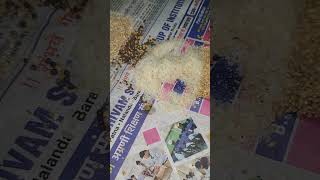 Marte hue pakshi ko kaise bachayein? 🦜 Bird Dehydration Test &amp; Recovery Diet! #anshugiri