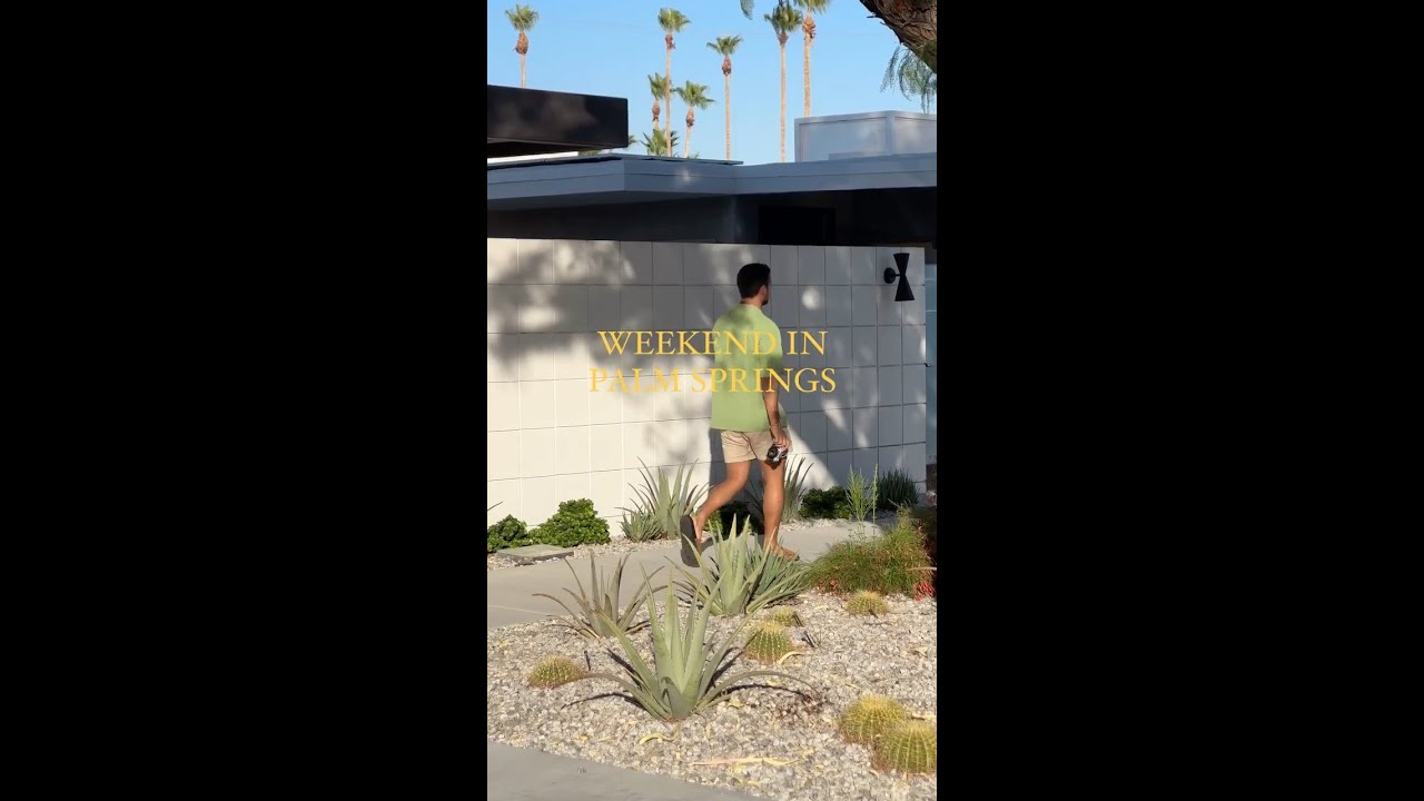 パームスプリングの週末 Amazon.co.jp: Palm Spring Weekend DVD : トロイ・ドナヒュー, コニー