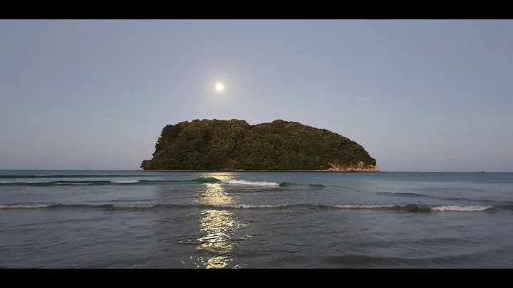 Whangamata   the Zone