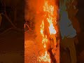 पेड़ में आग लग गई 🔥🔥🔥|| fire shorts #shorts #fire #youtubeshorts