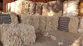 Sheep Wool Market India | Make In India | Shepherd Ka Hausla.