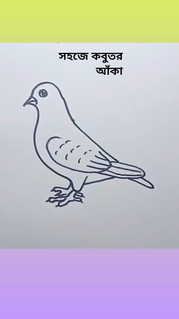 কবুতর আঁকা শিখি #drawing #drawing4kids #shorts #artist - YouTube