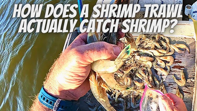 Anyone running a Shrimp Trawl from a bay boat for personal use