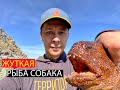 Пожалуй, САМЫЙ НЕОБЫЧНЫЙ улов Магаданских рыбаков! ШОК РЫБАЛКА!