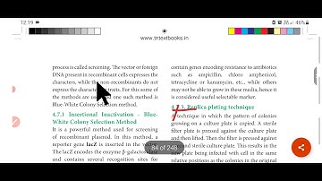 12TH | Chapter 4| Principle and process of biotechnology| Book back Q& A