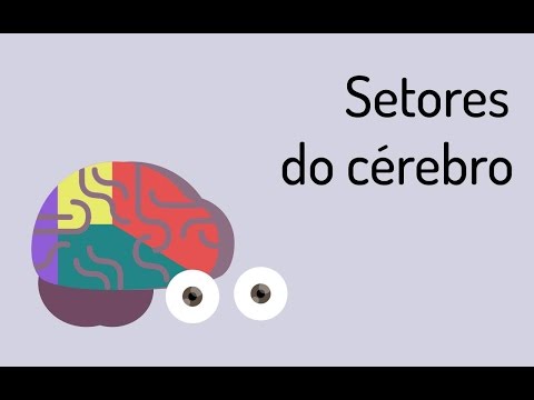 Vídeo: Que Parte Do Cérebro Controla A Fala: Várias Partes Do Cérebro