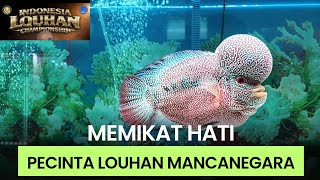 MALAYSIA AND SINGAPORE PARTICIPATE IN INDONESIAN FLOWERHORN CONTEST