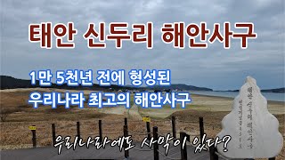 신두리 해안사구 트레킹 / 우리나라 최고 모래사막 / 서해랑길 / 태안둘레길 / 태안여행 가볼만한곳