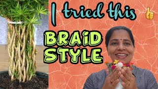 Braid Style में Portulaca/Purslane / Moss Rose/Table Rose/ Office Rose/9 O'clock || Tree Look में