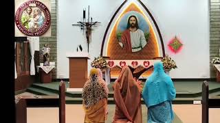 Feast of St. James......I choose you and appointed you go and bear much fruit......