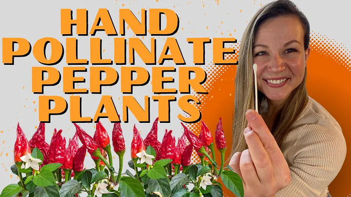 Hand-Pollinate Your Peppers In Minutes (And Prevent Flower Drop!)