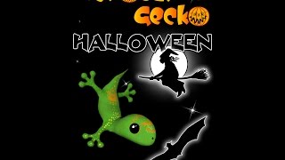 Acrobat Gecko Halloween screenshot 2