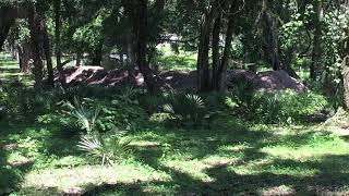 Hernando County floodplain being filled no permits required  Call code enforcement @11am no response