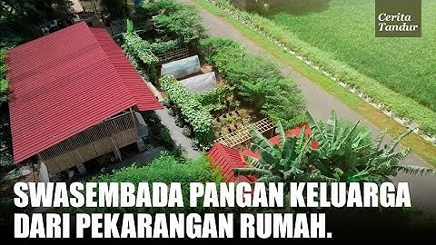 Ubah Tanah Tak Terpakai Penuh Ular Jadi Kebun Swasembada Pangan Keluarga!