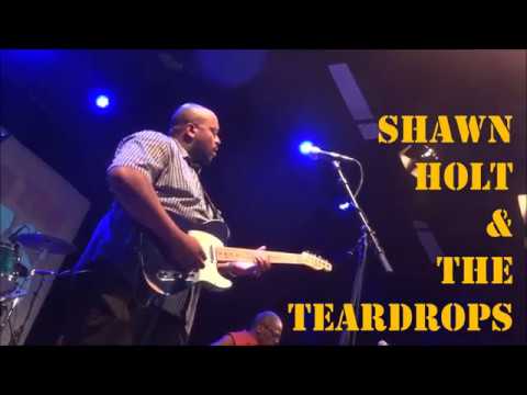 Image result for shawn holt & the teardrops albums