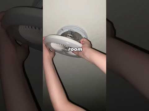 Ceiling Fan With Light