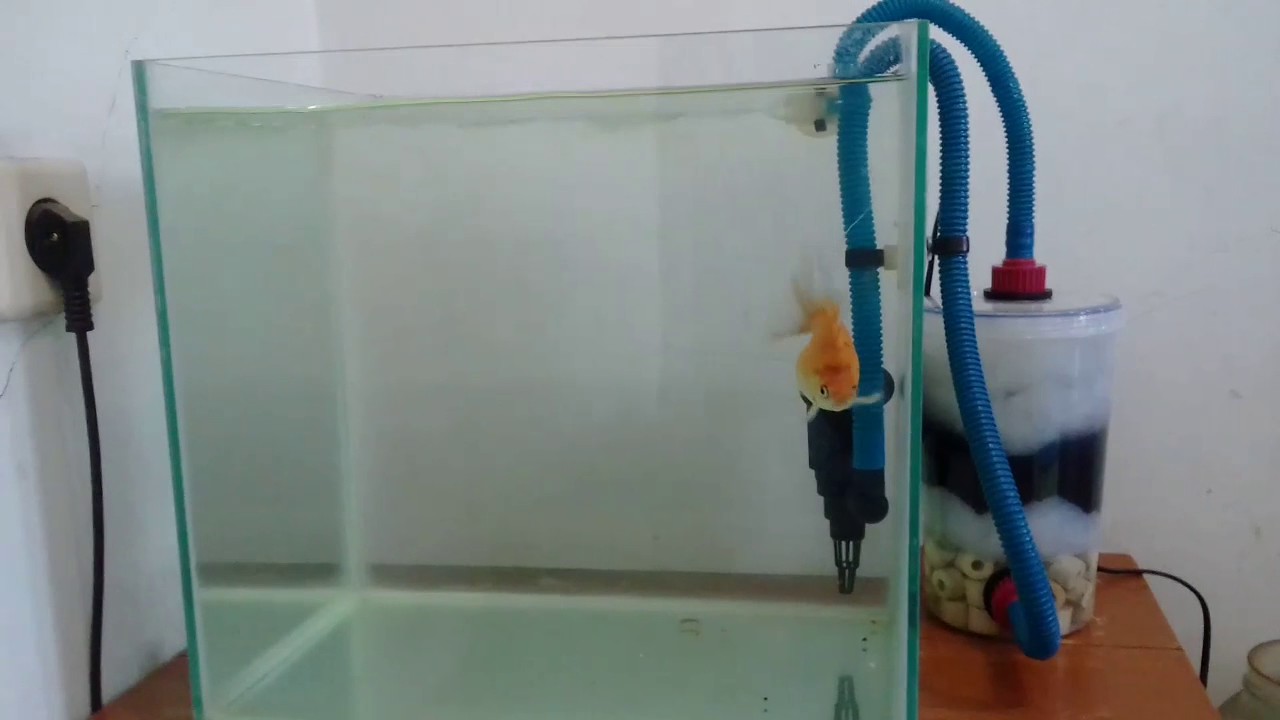 Diy Filter Aquarium Bertekanan You Diy Filter Aquarium Bertekanan You
