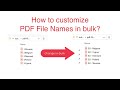 Customize PDF File Names When Batch Filling from Excel