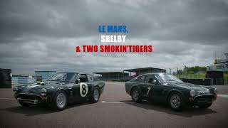 Le Mans Shelby 2 Smokin Tigers - Teaser