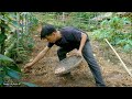 Sowing Plant new seeds for the garden, survival, Wilderness Alone | Episode 152